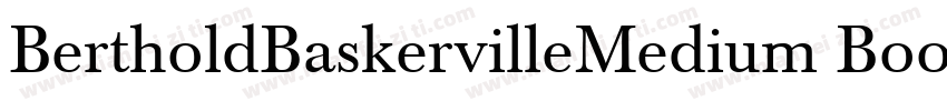 BertholdBaskervilleMedium Book字体转换